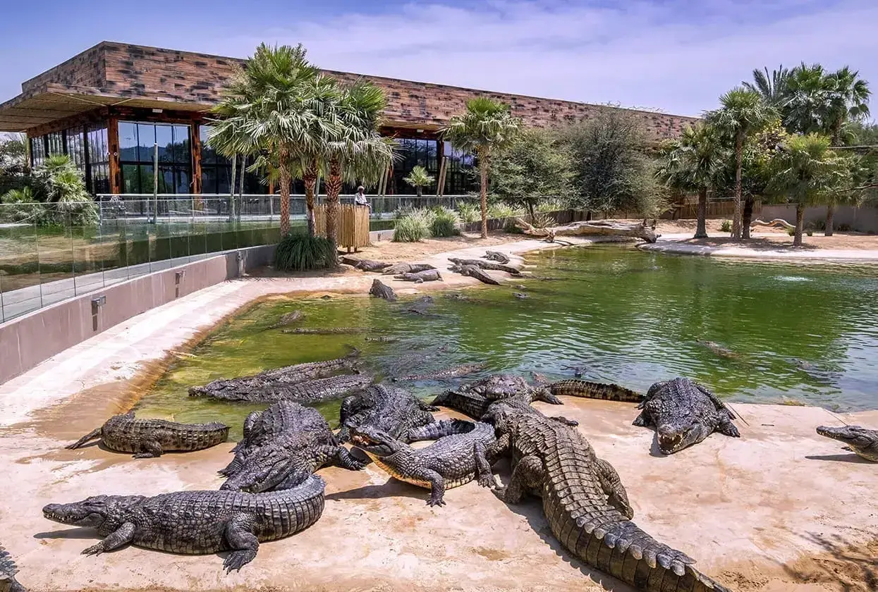 Home - Dubai Crocodile Park