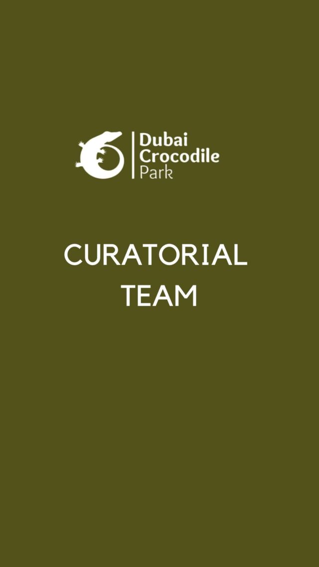 Meet the smiley faces of the Curatorial Team!  Crocodile Keepers Notice Ncube and Hebert Nyoni, and Head Keeper Allen Banana, work hard everyday maintaining the exhibits, doing diet preparation and conducting daily health checks.  Come and say Hi 👋 to them at Dubai Crocodile Park 🐊