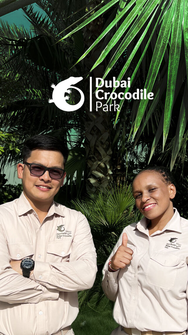 Meet our passionate guides.

Serah and Joshua

#dubaicrocodilepark #dubai #crocodile