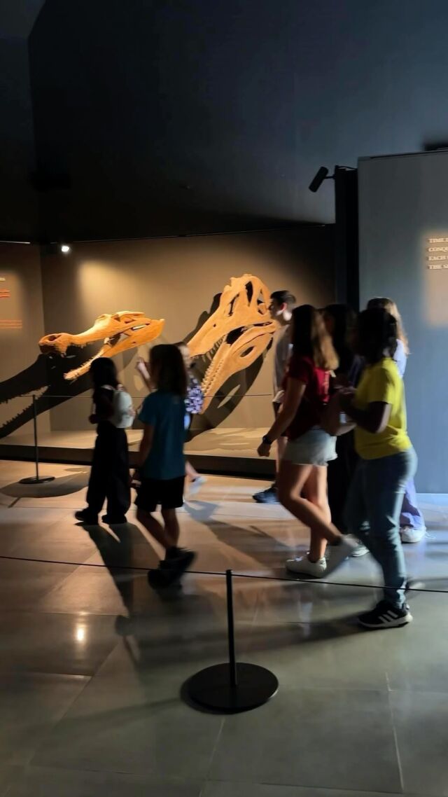 Discover the life and history of crocodiles.

The journey of crocodilians began around 200 million years ago and amazingly they survived the extinction of the dinosaurs 65 million years ago!

Learn more about them at our Crocodile Museum.

Book your tickets online through our website or buy them from our reception.

#dubai #dubaicrocodilepark #crocodile